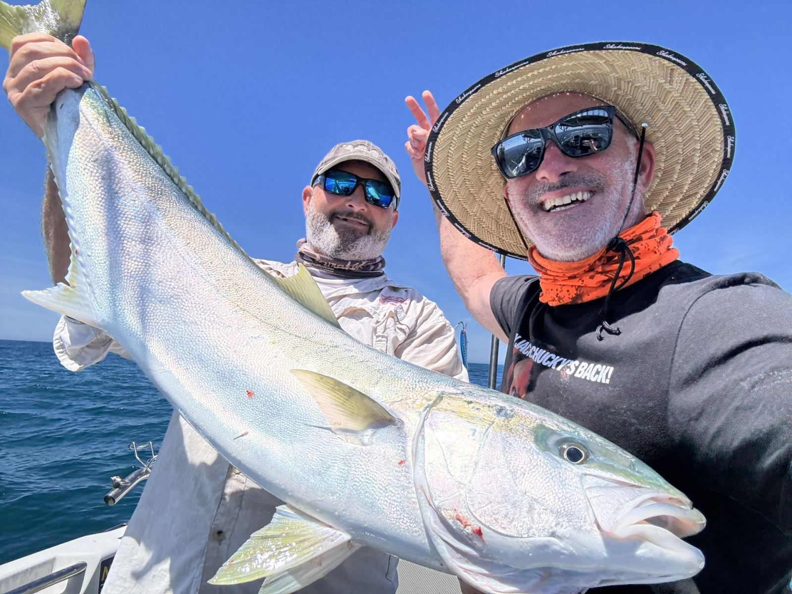 Victorian kingfish caught with Matt Cini